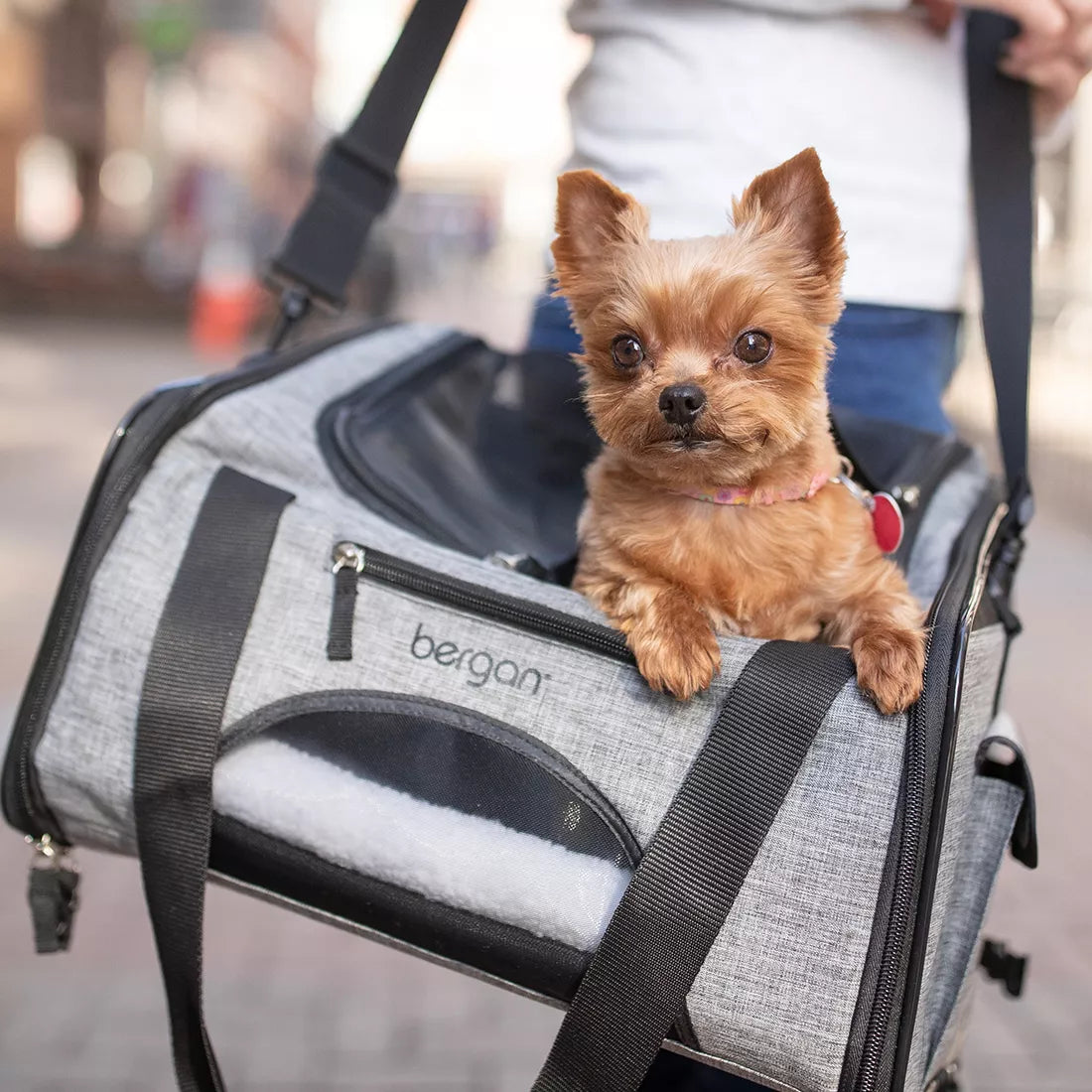 How Strict are Airlines About Pet Carriers: Essential Travel Rules