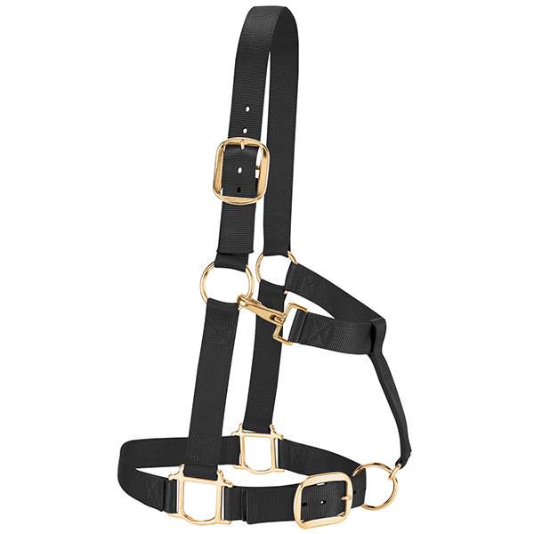 Weaver Nylon Halter Draft Horse