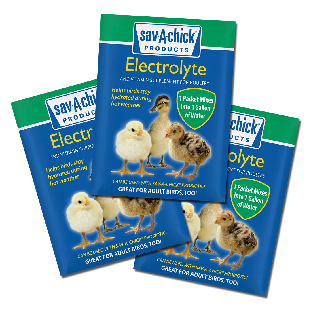 Sav-A-Chick Electrolyte and Vitamin Supplement (Pack of 3)
