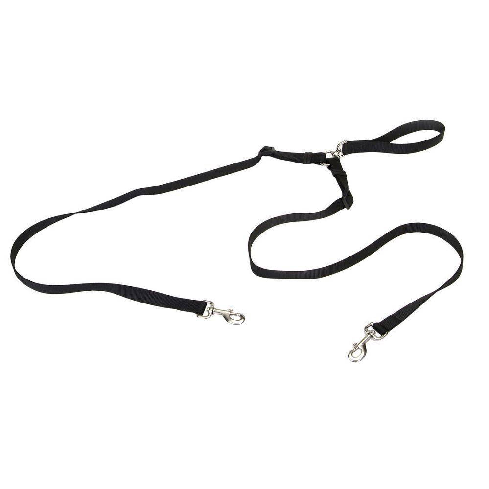 2 Dog Tangle Free Leash 4'