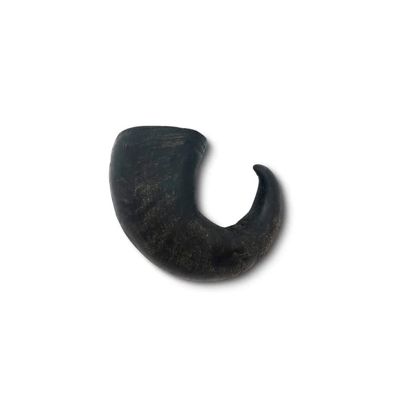 Buffalo Horn