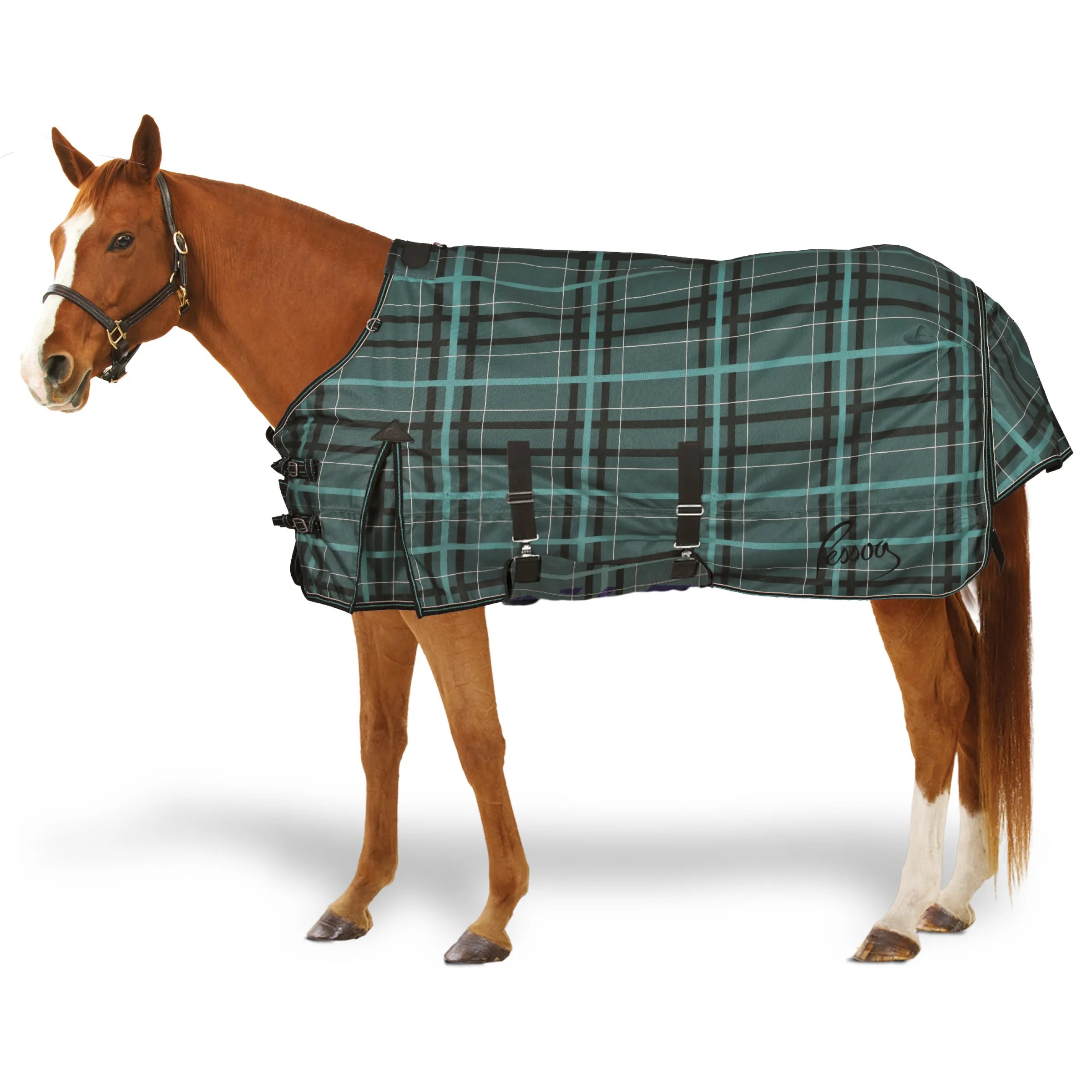 Pessoa Alpine 1200D Turnout Blanket – Horstmeyer Farm and Garden