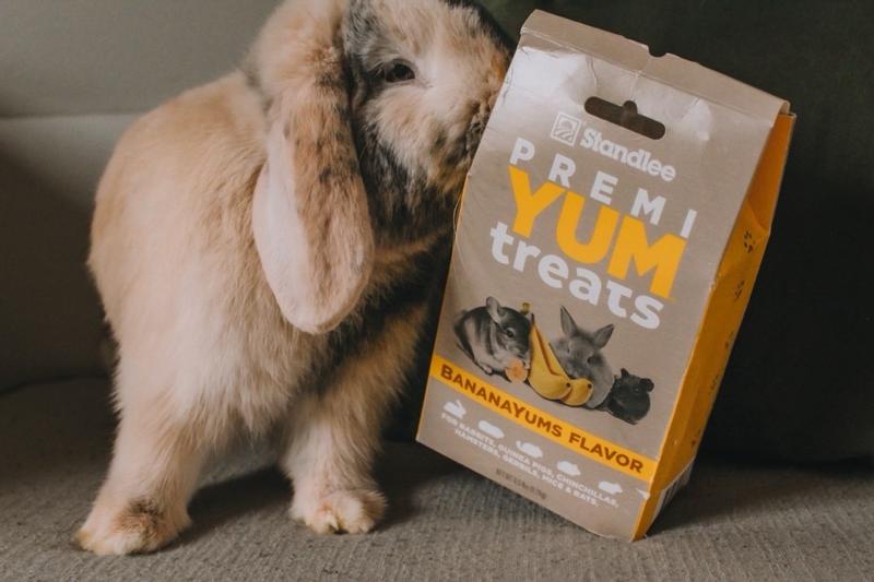 Standlee BananaYums PremiYum Small Pet Treats, 8 oz.