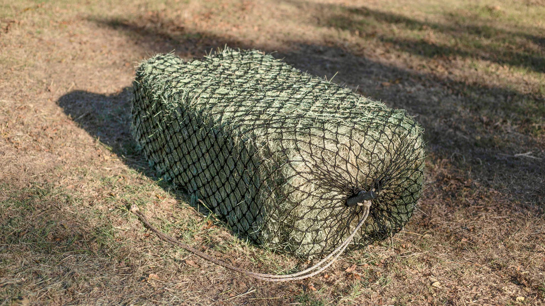 Hay Chix West Coast Net 1 3/4"