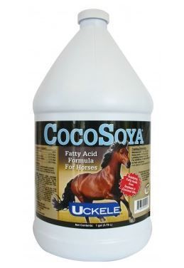 CocoSoya