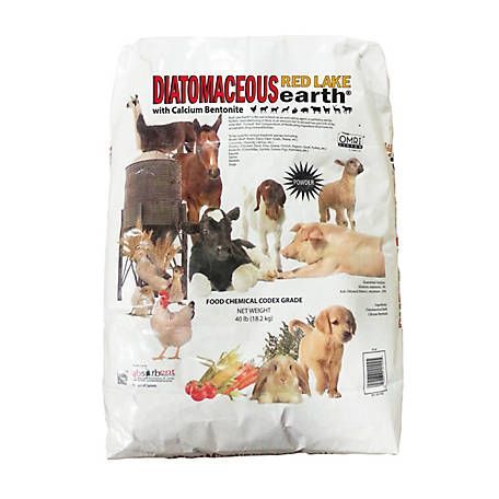 Diatomaceous Earth