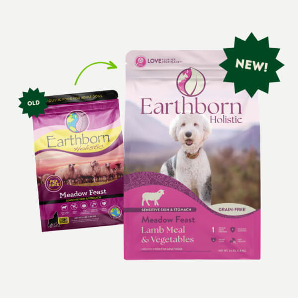 Earthborn Holistic Meadow Feast Grain-Free Natural Dry Dog Food