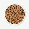 Earthborn Holistic Coastal Catch Grain-Free Natural Dry Dog Food