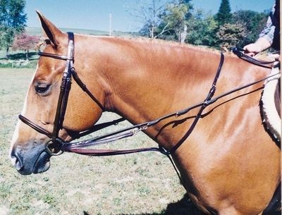 GERMAN MARTINGALE