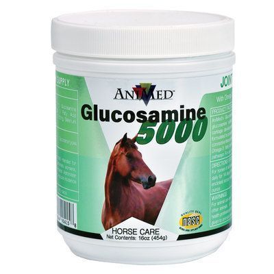 Glucosamine 5000