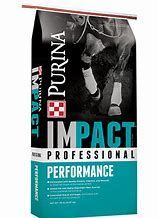 Impact Professional Performance