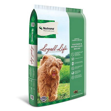 Loyall Life Adult Large Breed Chicken & Brown Rice