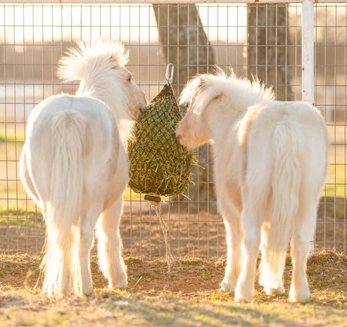 Hay Chix Micro Mini Net 1 1/4"