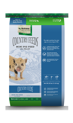 Country Feeds Mini Pig