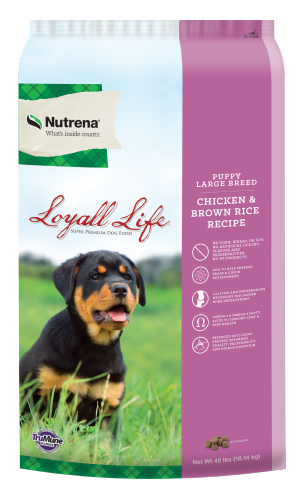 Loyall Life Puppy Large Breed Chicken & Brown Rice