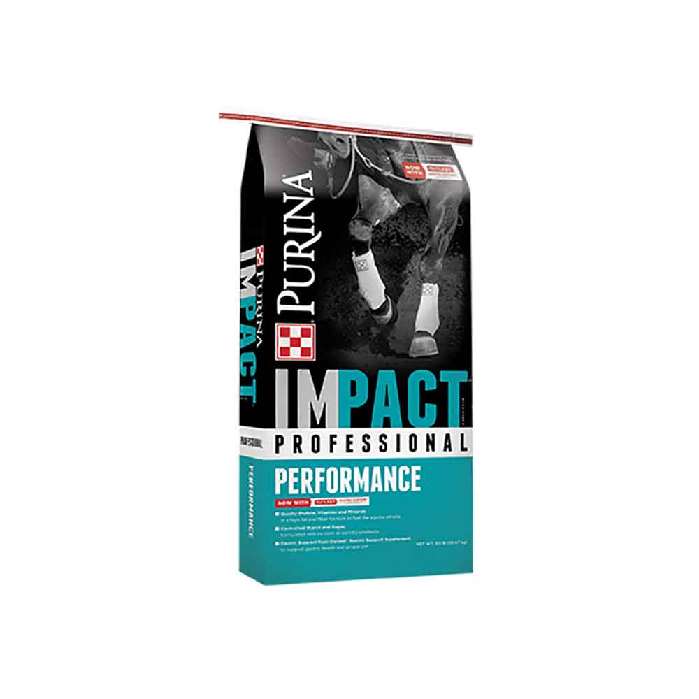 Impact Professional Performance