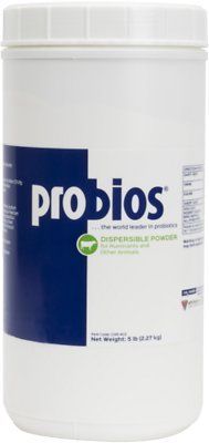 Probios Powder & Gel
