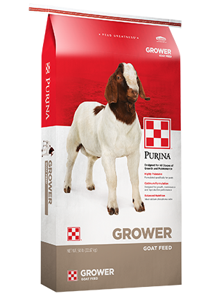 Purina Goat Grower 16