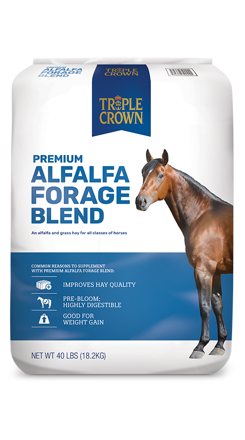 Triple Crown Alfalfa Forage