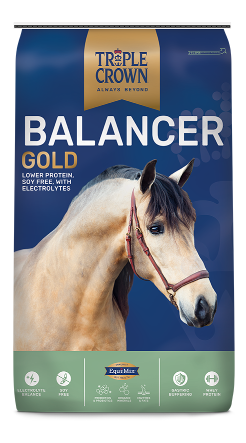 Triple Crown Balancer Gold