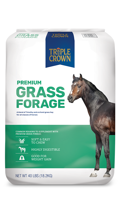 Triple Crown Grass Forage