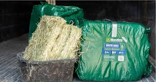 Standlee Premium Timothy Grass Grab and Go Compressed Hay Bale, 50 lb.