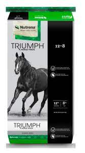 Triumph 12/8