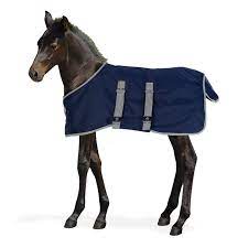 Centaur Foal Turnout Blanket 200g Navy/Gray