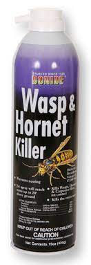 Wasp & Hornet Spray