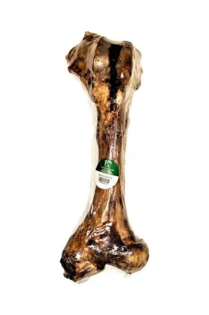 Lamb Femur