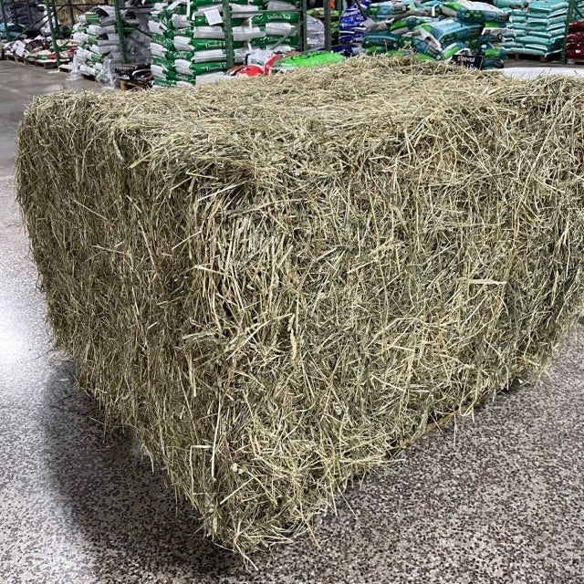 HAY - Ohio Block