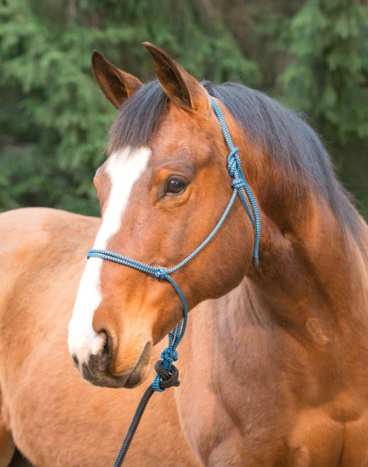 Weaver Silvertip Big Sky Rope Halter