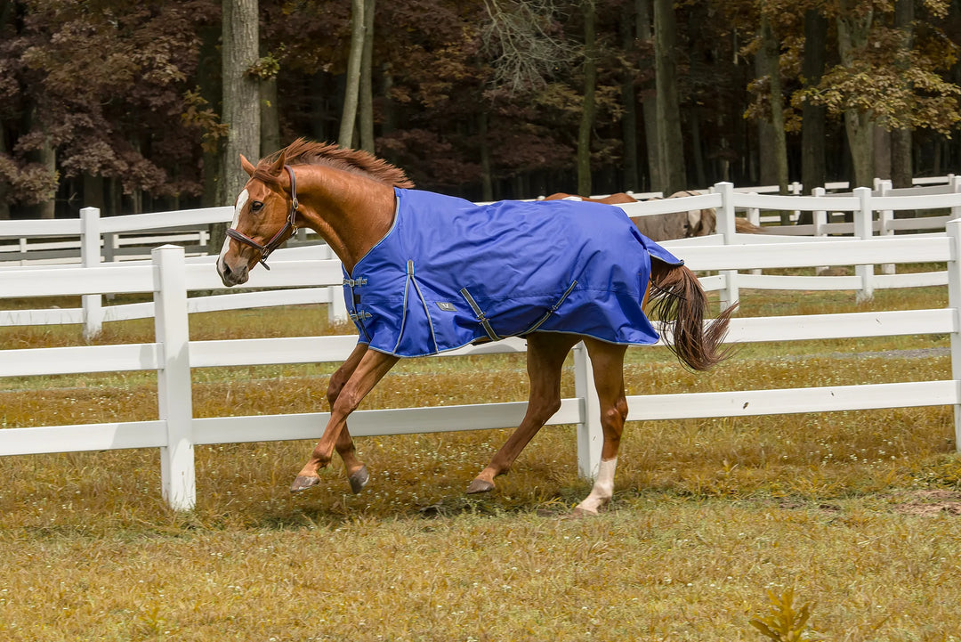 Tuffrider 600D Comfy Medium Blanket