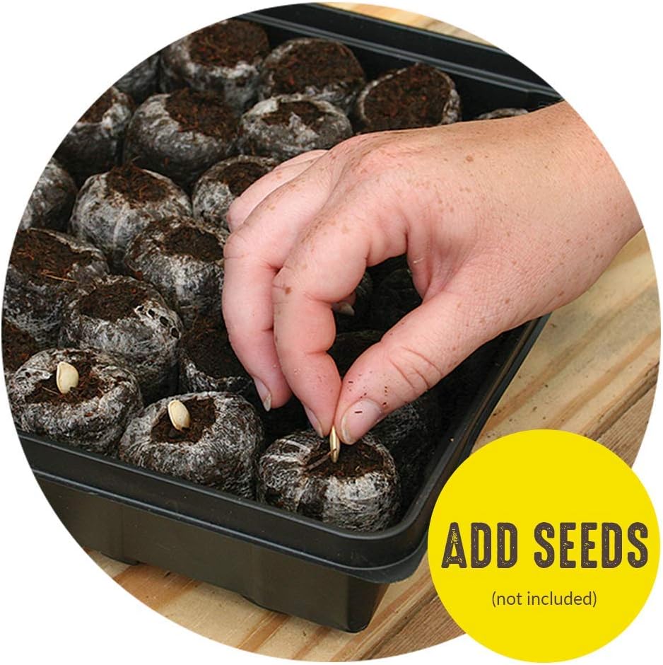 planting seeds in jiffy greenhouse Jiffy 36 Seed Starting Greenhouse Kit