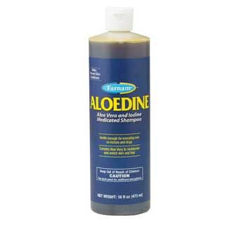 Aloedine Shampoo