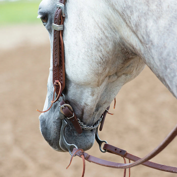 Weaver Synergy Hand-Tooled Mayan Headstall with Designer Hardware