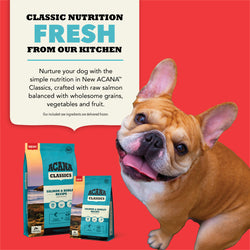 Acana Classics Salmon & Barley Recipe Dog Food