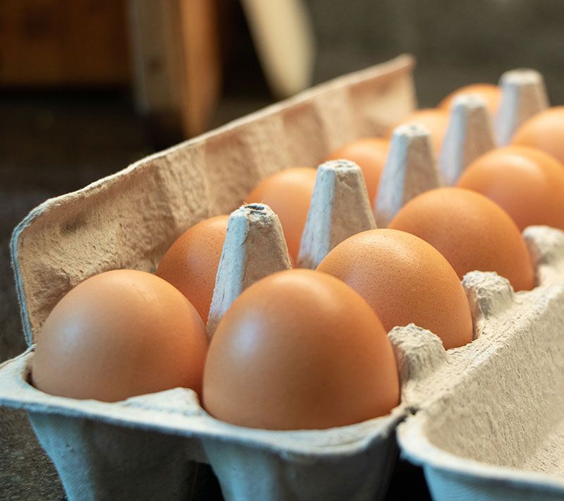 Eggs- Farm Fresh