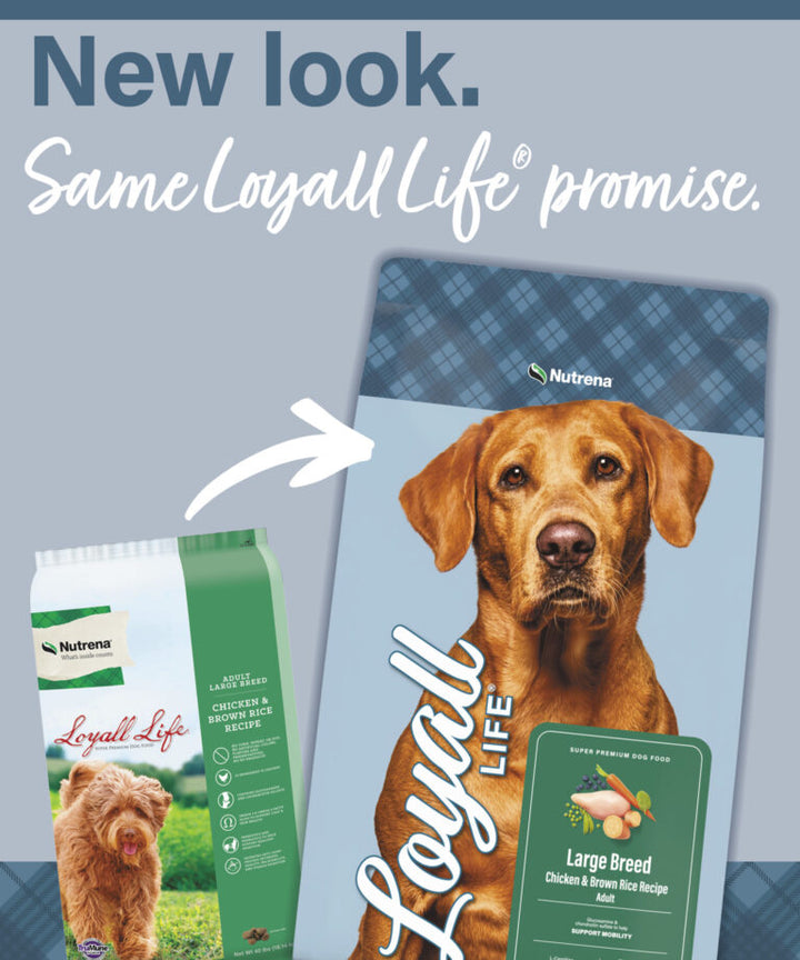 Loyall Life Large Breed Chicken & Brown Rice