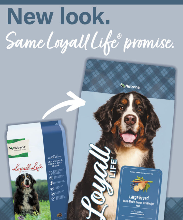 Loyall Life Large Breed Lamb Meal & Brown Rice