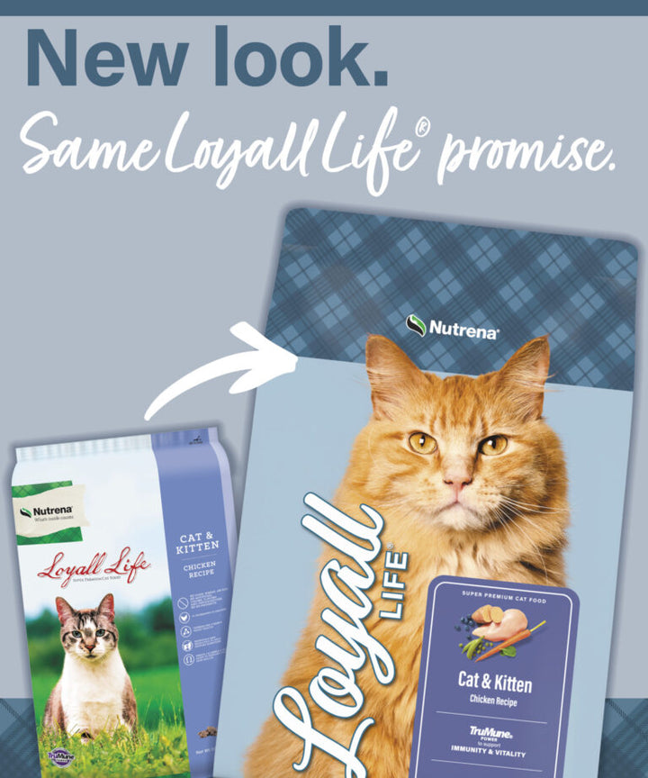 Loyall Life Cat & Kitten Chicken Recipe