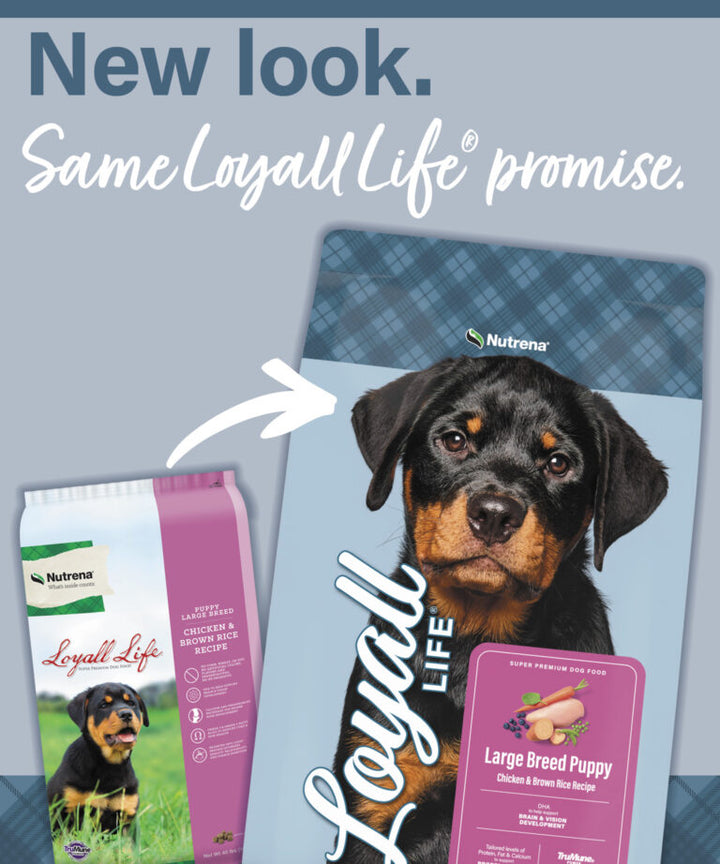 Loyall Life Puppy Large Breed Chicken & Brown Rice