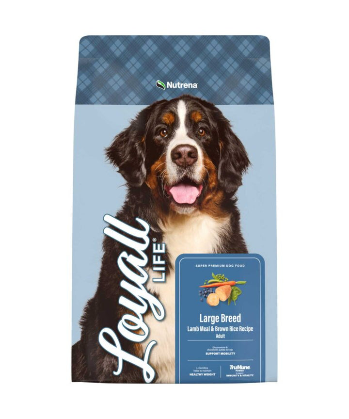 Loyall Life Large Breed Lamb Meal & Brown Rice