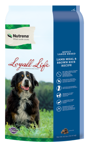 Loyall Life Adult Large Breed Lamb & Brown Rice