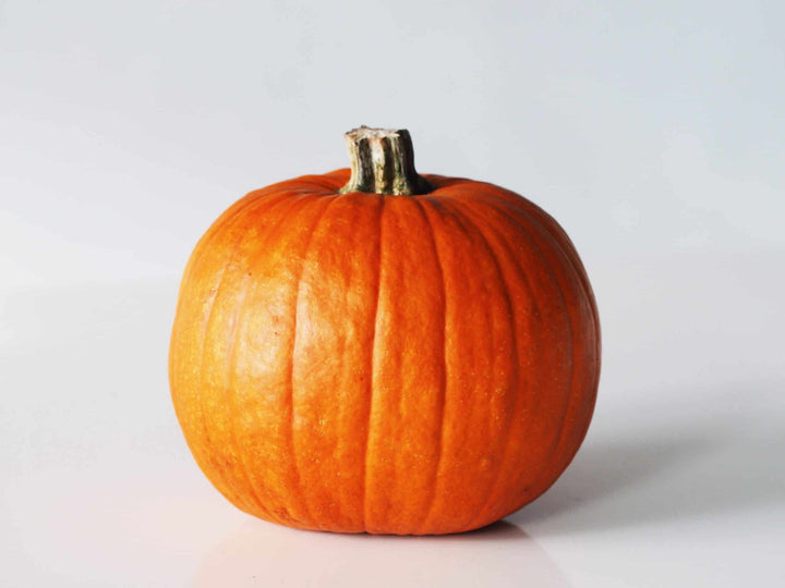 Pumpkin Medium