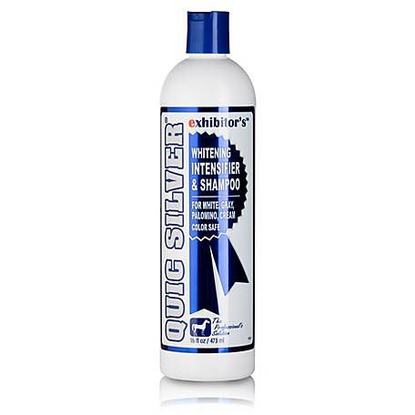 Quic Silver Shampoo