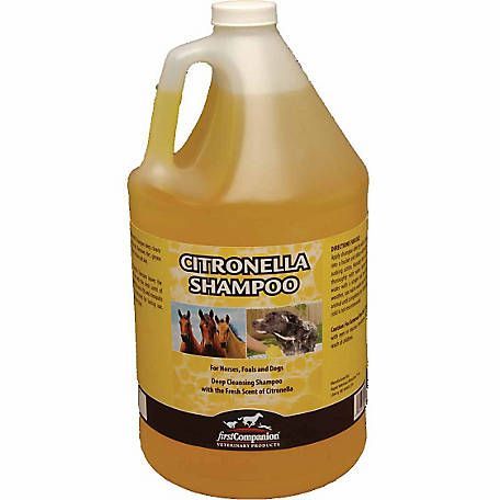 Shampoo Citronella