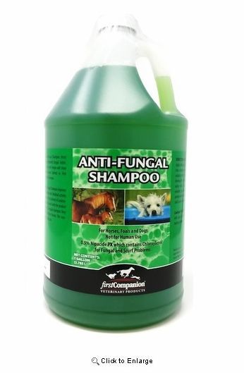 Shampoo Fungal CB