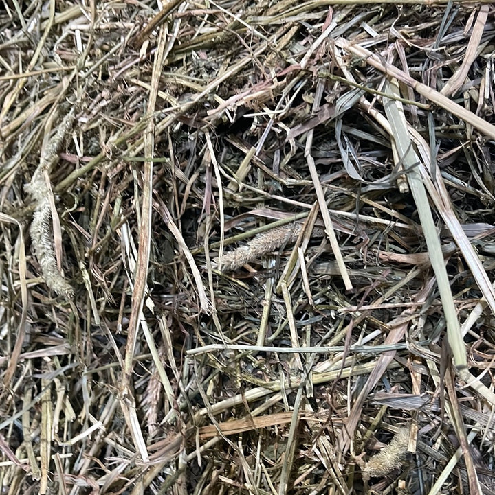 HAY-T/A 1st Cut