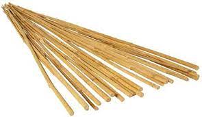 Bamboo Stake